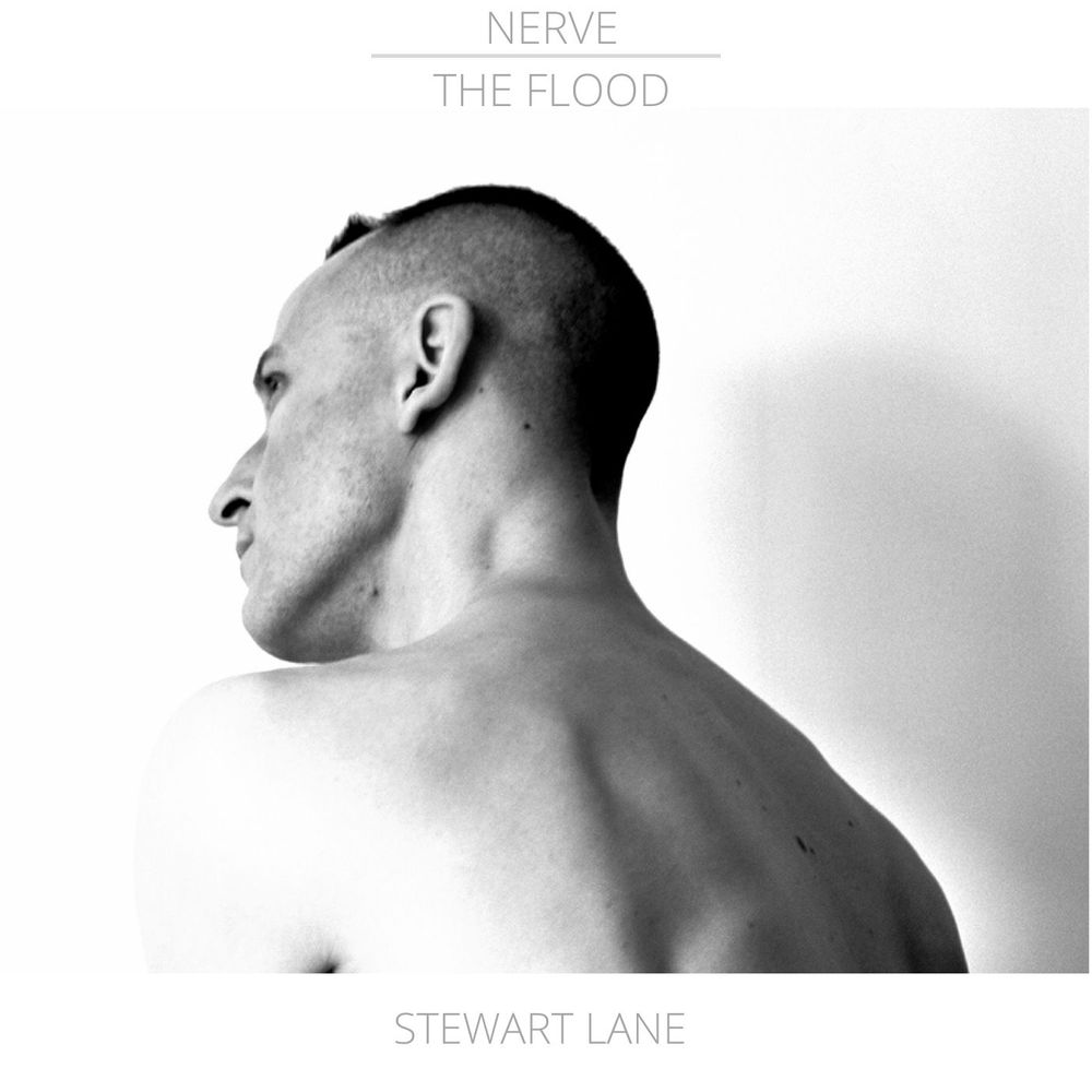 Nerve: The Flood artwork